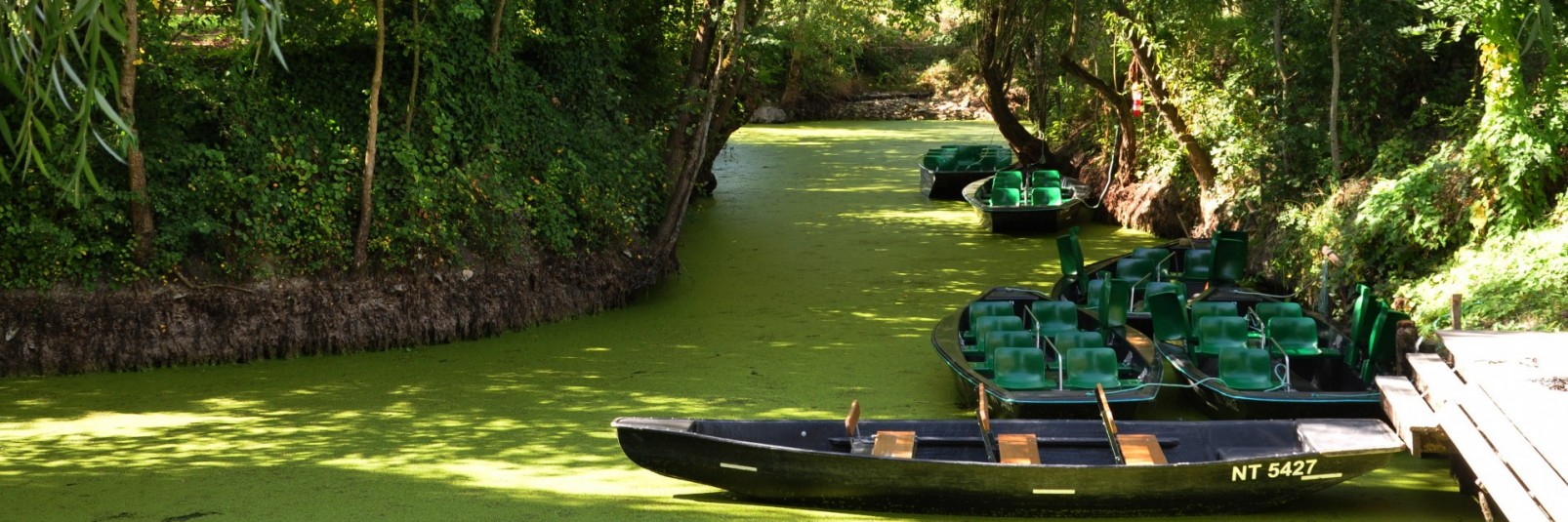 La BoissièreenGâtine (79) Villes à vivre